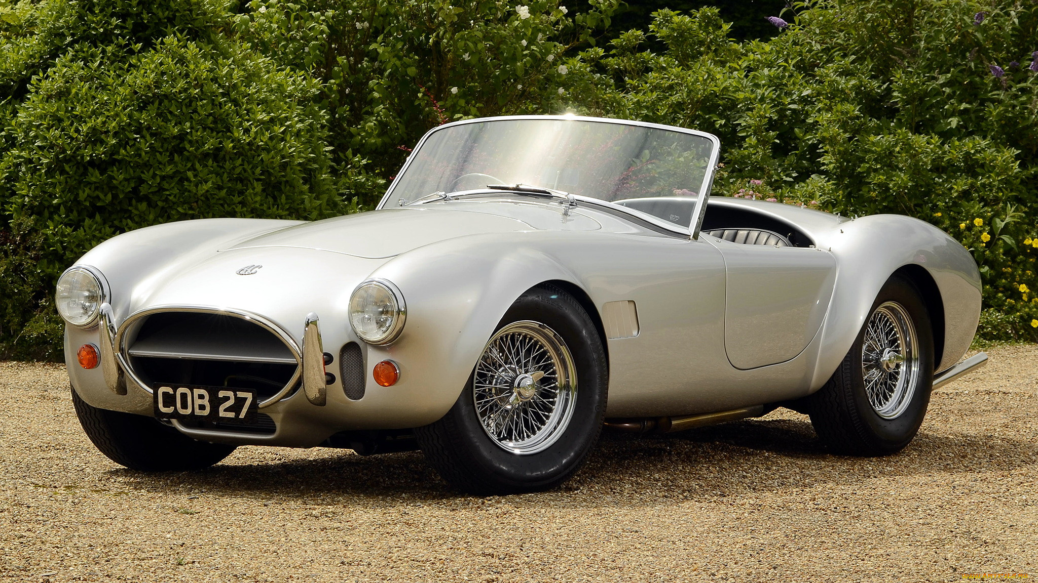 cobra, , ac, shelby, , 